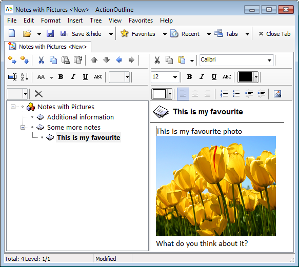 ActionOutline showing an outline note with a picture